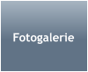 Fotogalerie