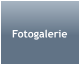 Fotogalerie