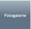 Fotogalerie