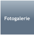 Fotogalerie