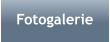 Fotogalerie