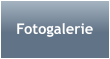 Fotogalerie